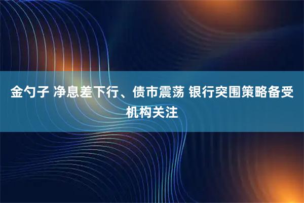 金勺子 净息差下行、债市震荡 银行突围策略备受机构关注